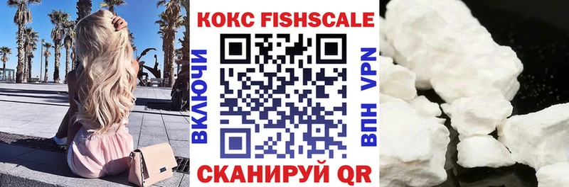 как найти   Вязники  COCAIN Fish Scale 