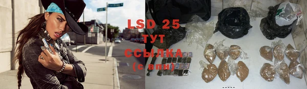 ПСИЛОЦИБИНОВЫЕ ГРИБЫ Белокуриха