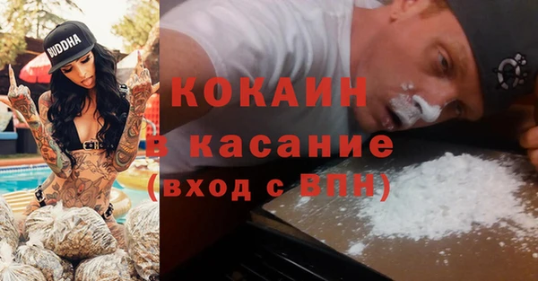 ПСИЛОЦИБИНОВЫЕ ГРИБЫ Белокуриха