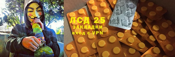 ПСИЛОЦИБИНОВЫЕ ГРИБЫ Белокуриха