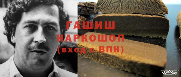 ПСИЛОЦИБИНОВЫЕ ГРИБЫ Белокуриха