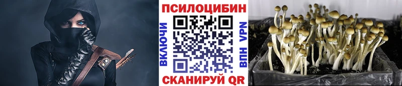 Галлюциногенные грибы MAGIC MUSHROOMS  купить наркоту  KRAKEN как зайти  Вязники 