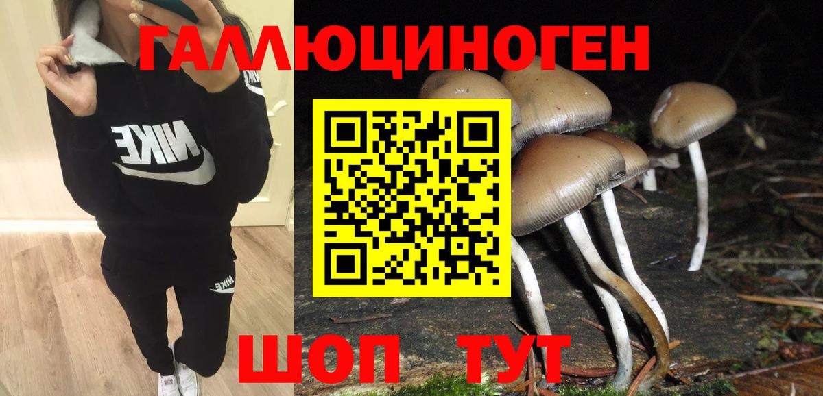 Галлюциногенные грибы Magic Shrooms Вязники