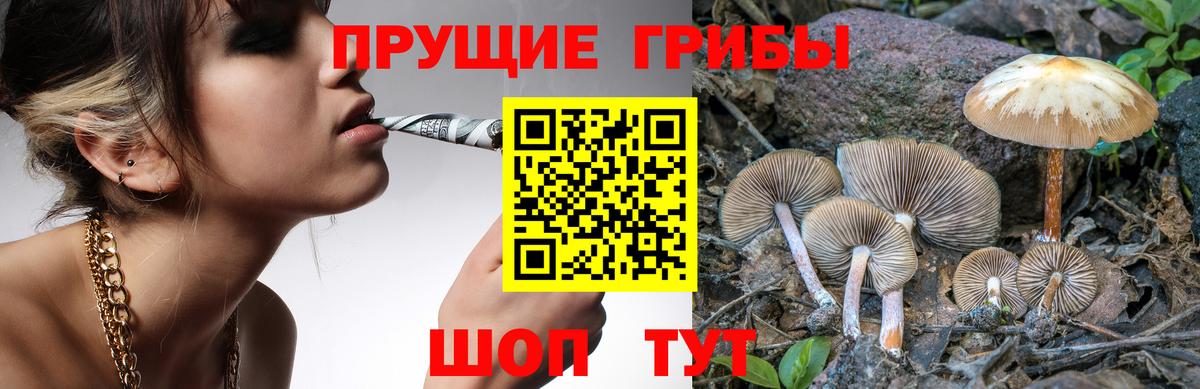Псилоцибиновые грибы мицелий  Вход с VPN  Вязники 