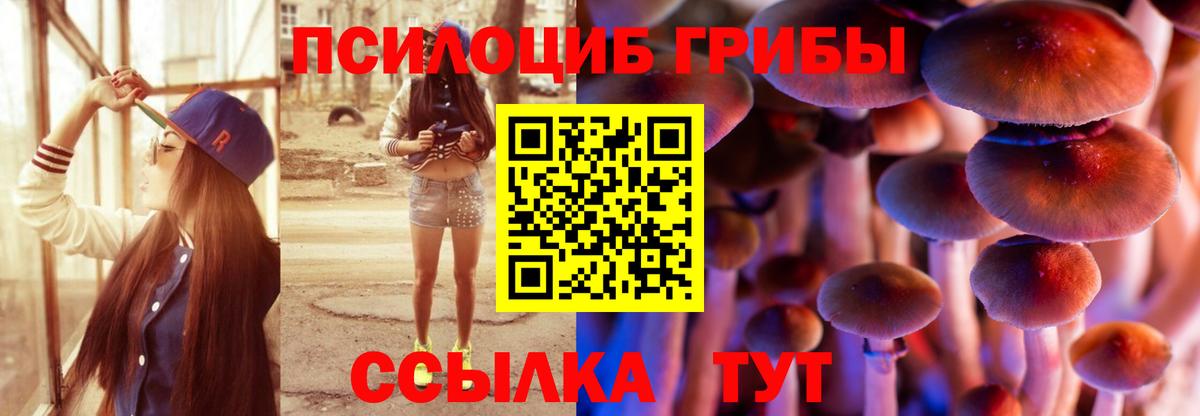 Псилоцибиновые грибы GOLDEN TEACHER  Вязники 